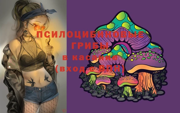 стафф Алексеевка