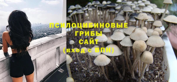 стафф Алексеевка
