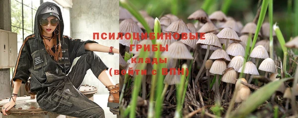 стафф Алексеевка