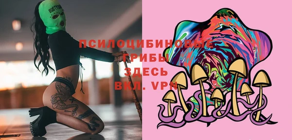 стафф Алексеевка