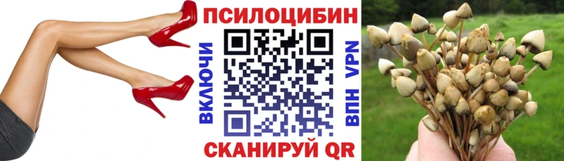 Галлюциногенные грибы Psilocybe Бавлы